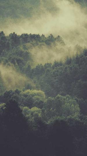 宝鸡seo优化工具截图3