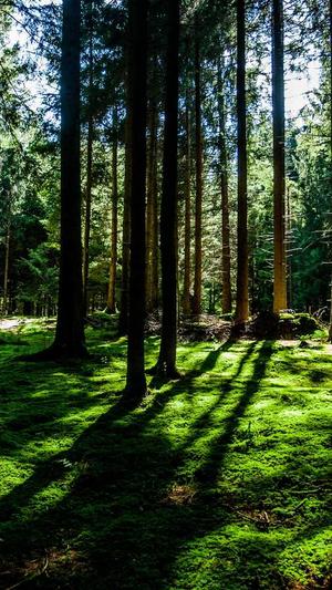 网站排名优化建设截图5