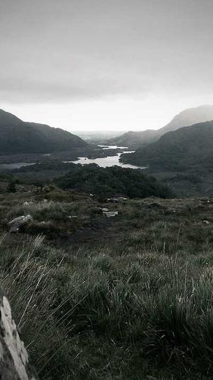 搜狗蜘蛛池出租2020截图3