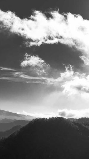 霸屏侠泛目录程序截图5