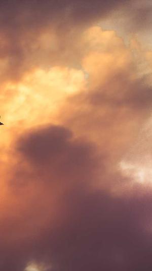 seo常用工具排名截图1