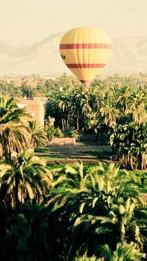 网站建设规划书截图1