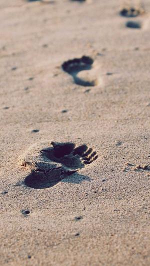 seo是什么职业截图4