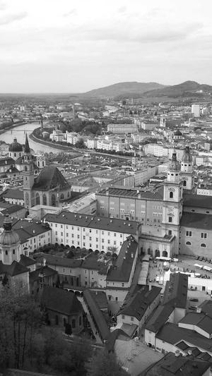 强引蜘蛛池课程截图2