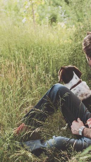 阿里蜘蛛池有用吗截图1