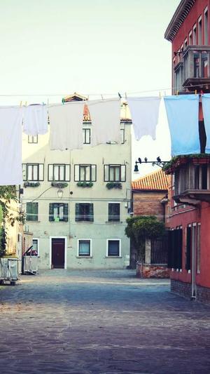 seo的推广工具截图2