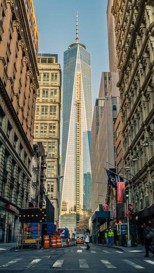 seo工具优化包截图1