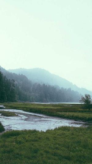 seo优化排名查询截图3