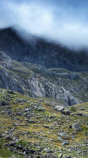 蜘蛛池代理截图1