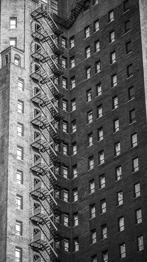 站长蜘蛛池截图1