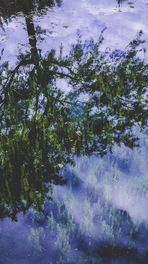 兰州网站建设截图4