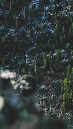 网站建设北京截图1