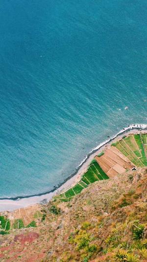 seo网站营销工具截图3