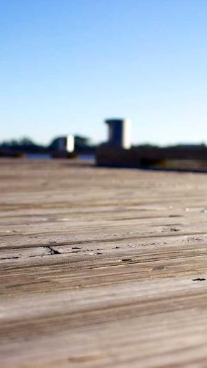 寄生虫站群于泛目录截图1