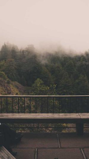 南安网站建设截图1