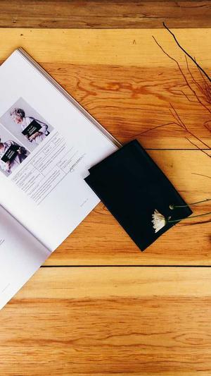 天道2016蜘蛛池下载截图2