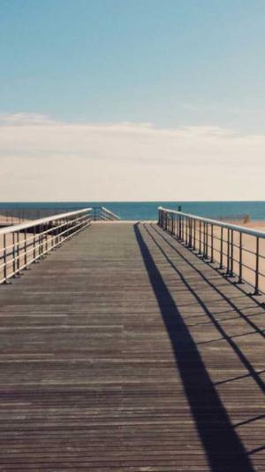 百度seo推广工具截图4