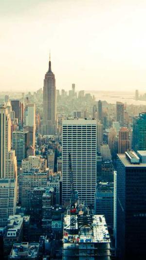 seo站长工具较多收藏截图5