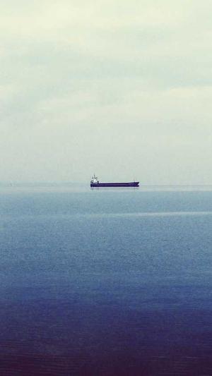 seo的推广工具截图4