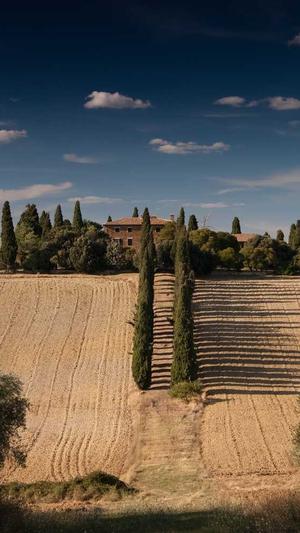 如何进行网站建设截图1