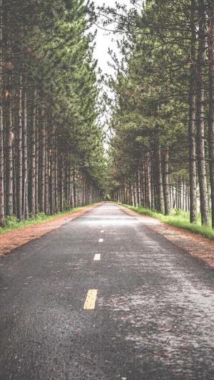 seo网络营销截图3