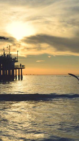 二级目录就是泛目录吗截图3