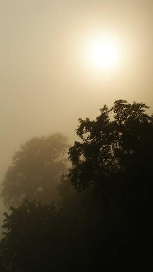 seo建站工具截图4