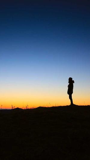 蜘蛛池技术代码截图4