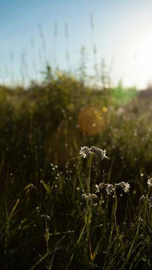 seo推广推荐蜘蛛池截图5