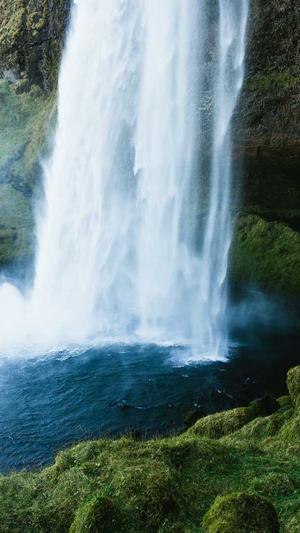 seoer 蜘蛛池截图1