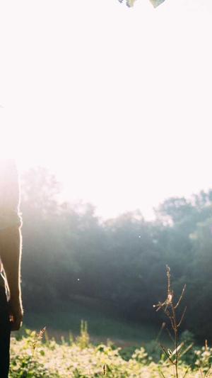 蜘蛛池免费推广截图2