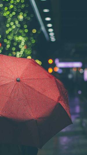 苏州seo优化工具截图2