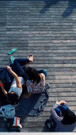 新闻模板蜘蛛池截图5