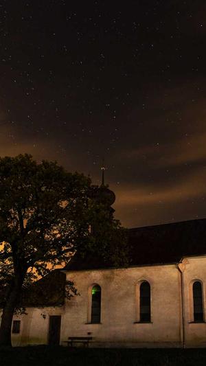 小霸王蜘蛛池教程截图1