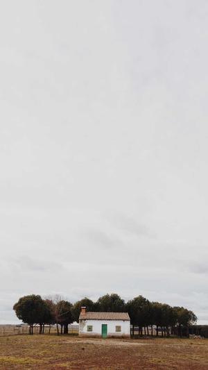 常规seo工具截图1