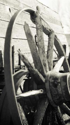 黑猫seo优化工具截图5