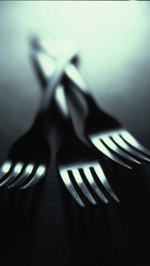 蜘蛛池搭建图解教程图截图3