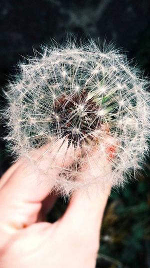 超级外链蜘蛛池源码截图3