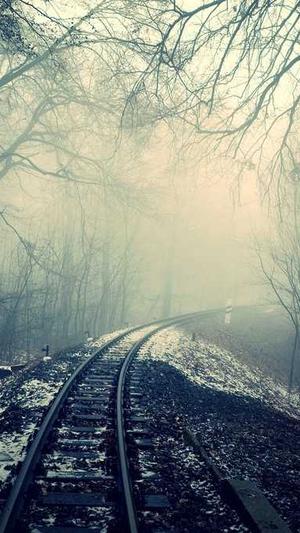 seo 排名优化工具截图2