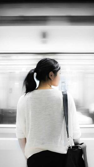 蜘蛛池搭建图片高清图截图3