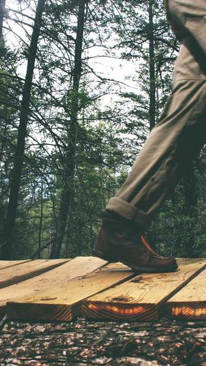 seo抓取链接工具截图3