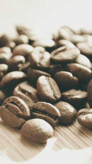 泛目录泛目录截图3