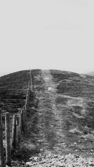 黑帽seo - seo工具截图1