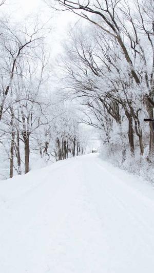 成都seo论坛截图3