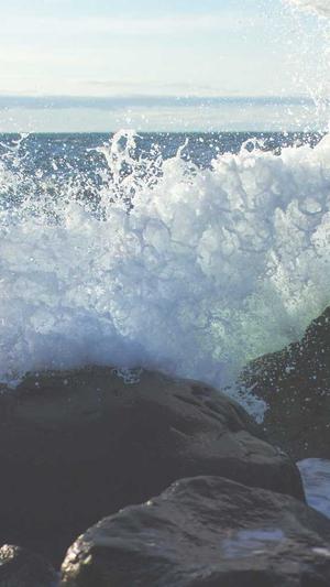 洛阳seo工具大全截图2