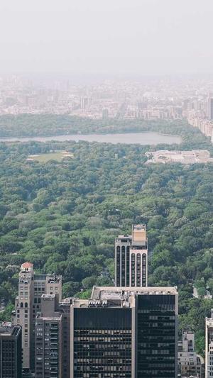 阿里蜘蛛池安装教程截图4