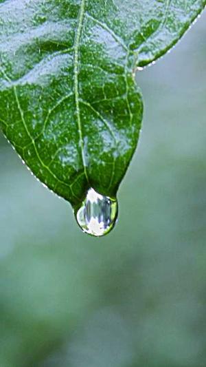 黑猫seo优化工具截图2