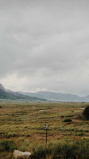 seo查询工具截图5