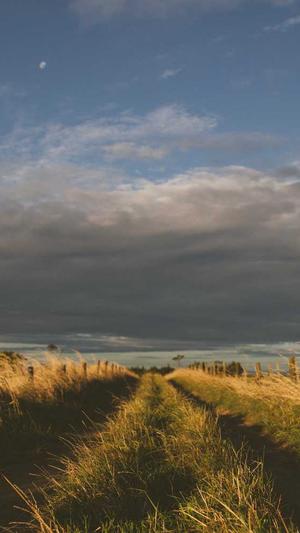 蜘蛛池还能做吗截图3