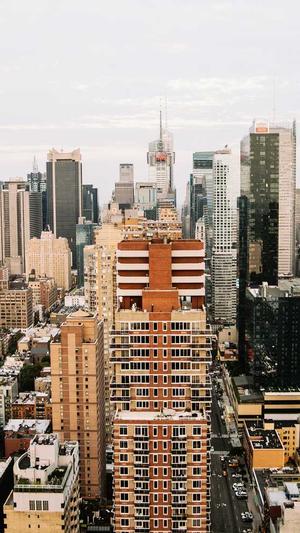 霸屏侠泛目录程序截图2